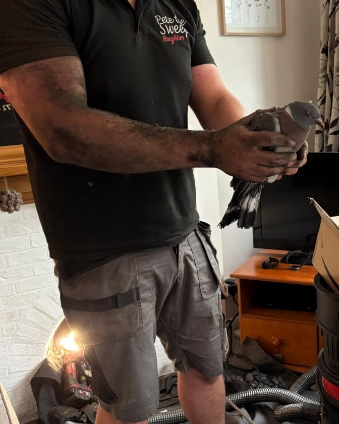 Chimney Sweeping Project 5 completed by Pete The Sweep in Sussex