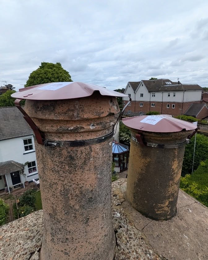 Bird Guard or Cowl Project 3 completed by Pete The Sweep in Sussex