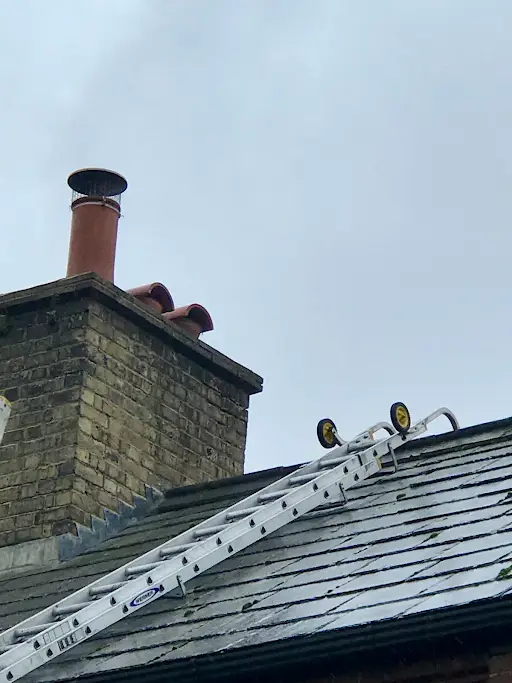 Pete The Sweep bird guard installation