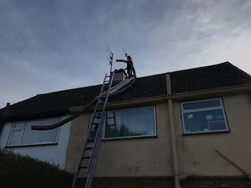 Bird Guard or Cowl Project 19 completed by Pete The Sweep in Sussex